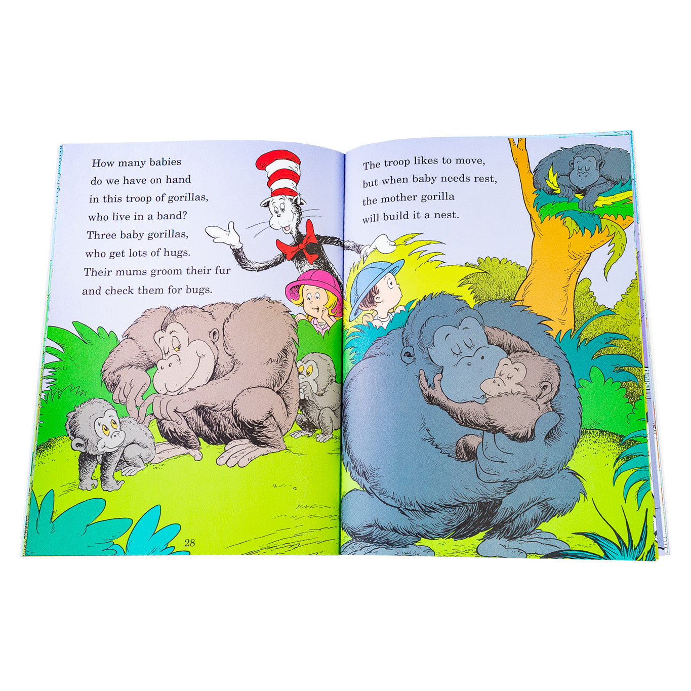 The Cat in The Hat's Learning Library 20 Books Box Set By Dr Seuss - Ages 5-7 - Paperback