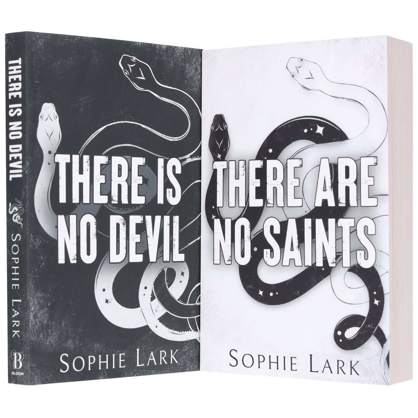 蘇菲拉克 (Sophie Lark) 著《罪人二重唱》系列 2 本書合輯 - 小說 - 平裝本