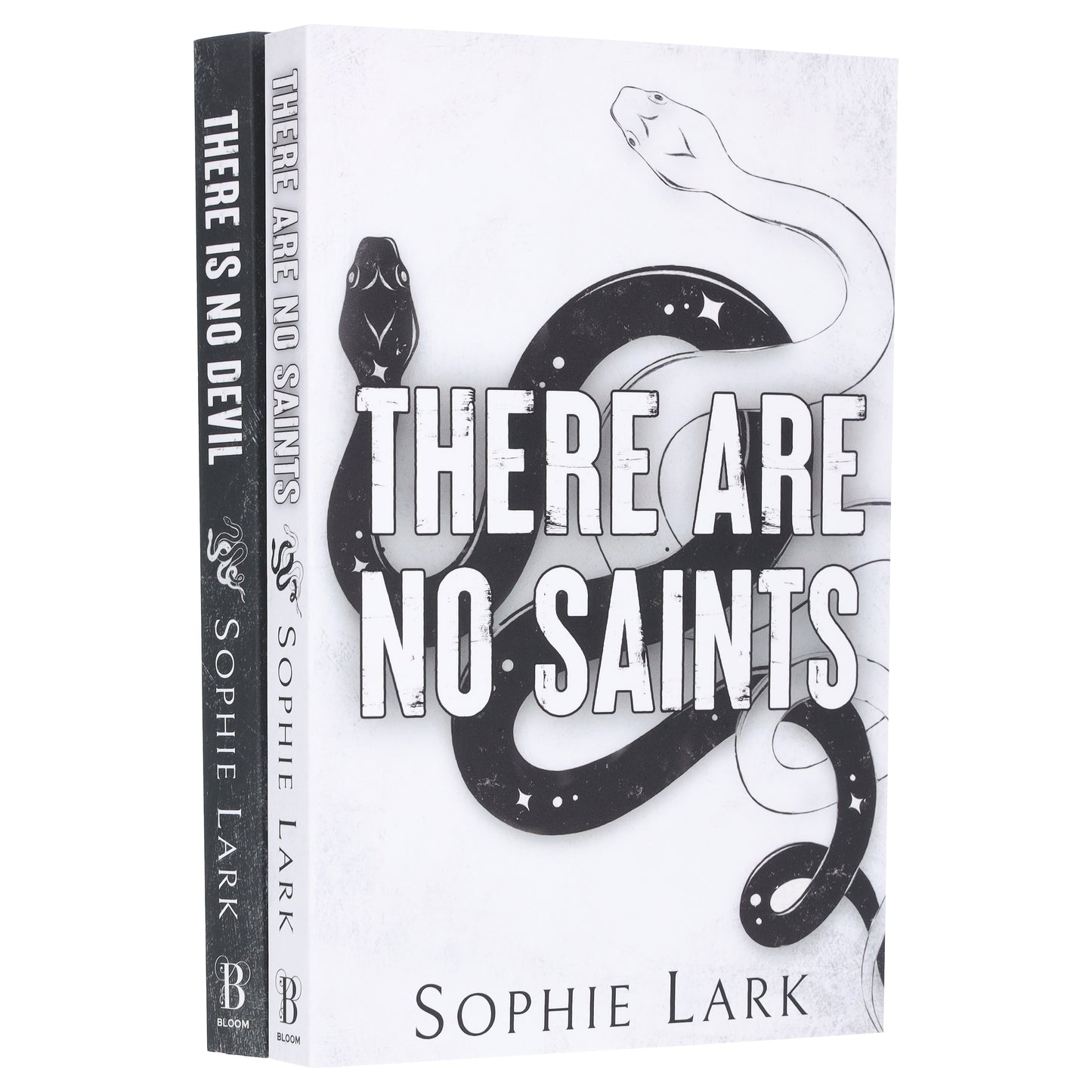 蘇菲拉克 (Sophie Lark) 著《罪人二重唱》系列 2 本書合輯 - 小說 - 平裝本
