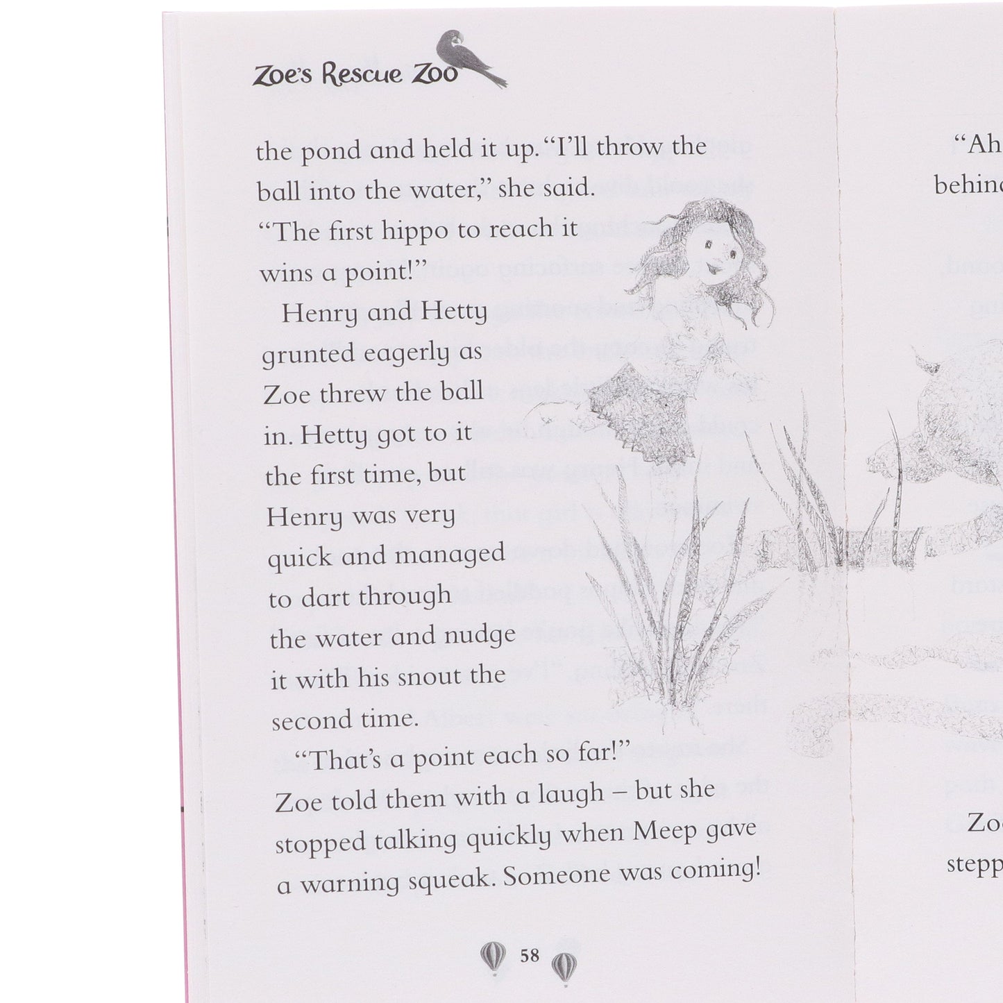 Zoes Rescue Zoo Series 1 By Amelia Cobb 10 Books Collection Set - Ages 5-7 - Paperback