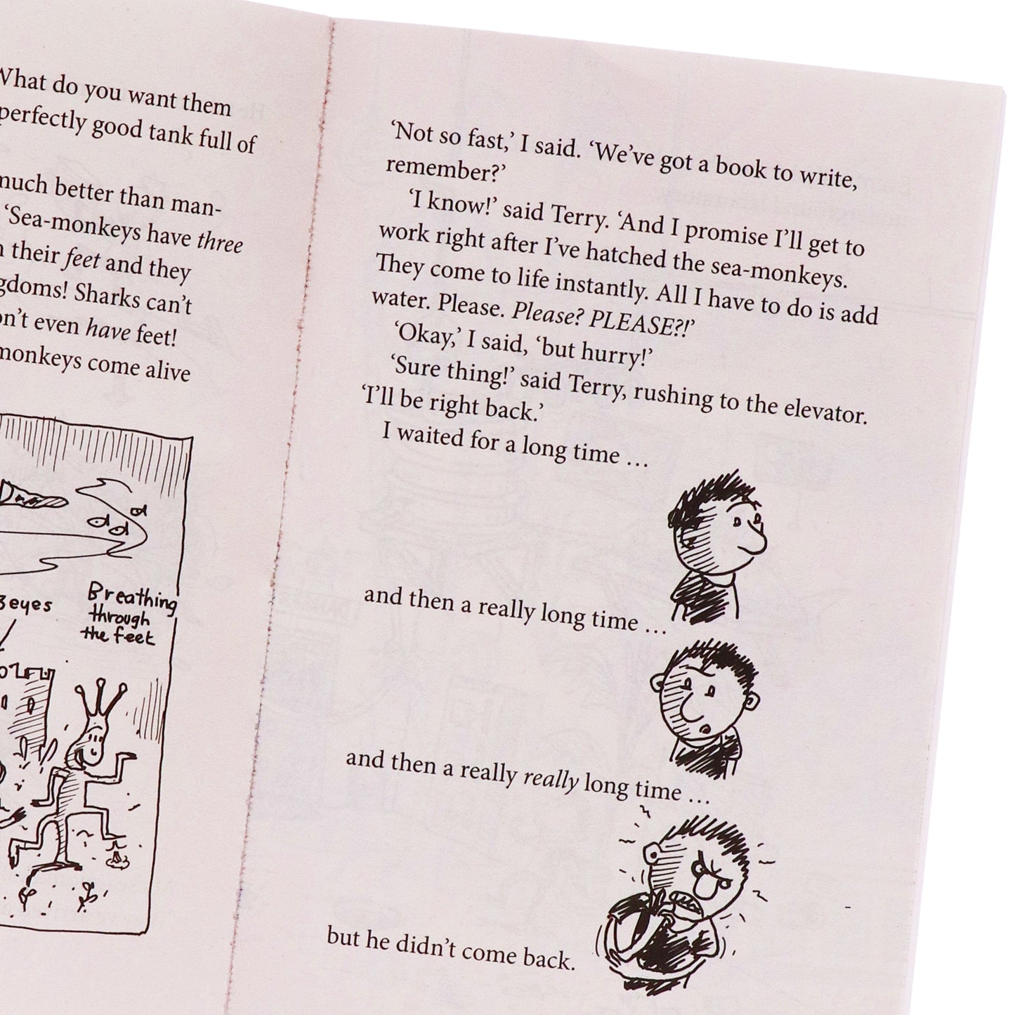 The Treehouse Series by Andy Griffiths & Terry Denton 10 Books Collection Box Set - Ages 7-11 - Paperback