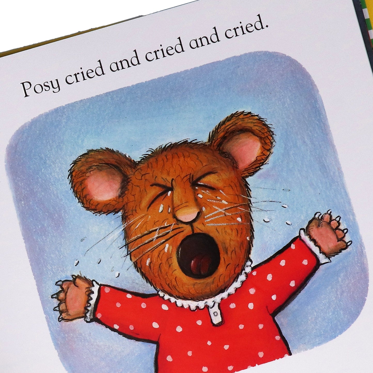 Pip and Posy Series by Axel Scheffler 8 Books Collection Set - Ages 3+ - Hardback 5-7 Nosy Crow Ltd