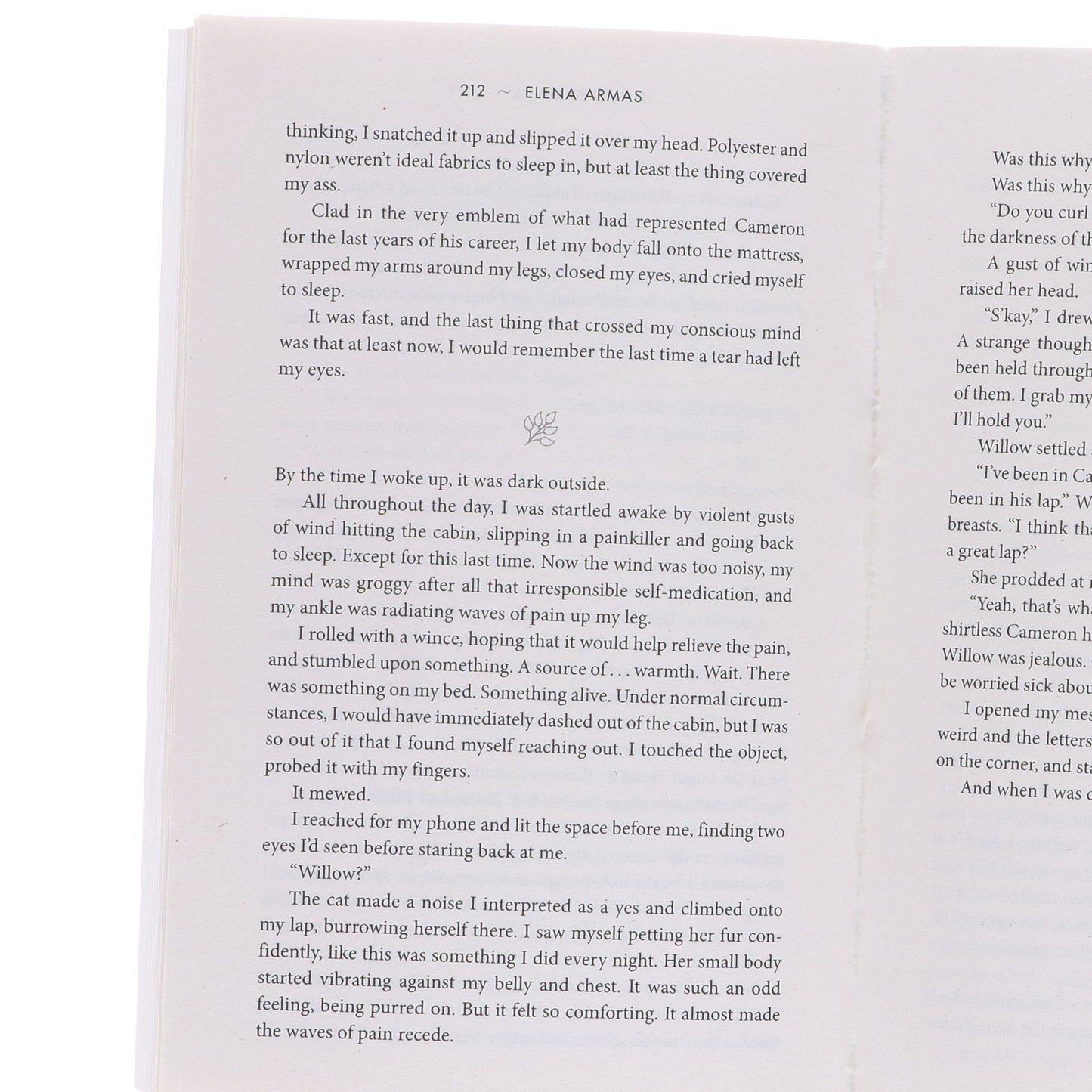 Elena Armas 4 Books Collection Set - Fiction - Paperback