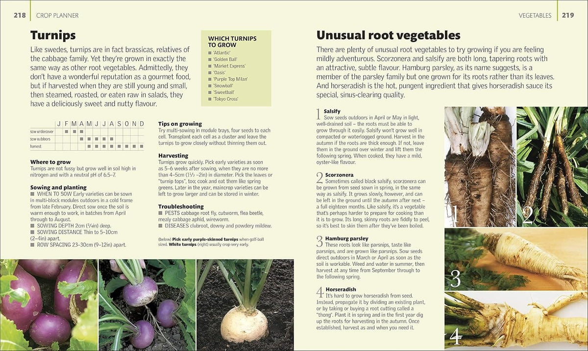 Allotment Month By Month: Grow your Own Fruit and Vegetables: Know What to do When by Alan Buckingham - Non Fiction - Hardback