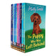 Holly Webb Series 2 - Animal Stories, Pet Rescue Adventure -10 Books Collection Set (Books 11 To 20) - Ages 6+ - Paperback