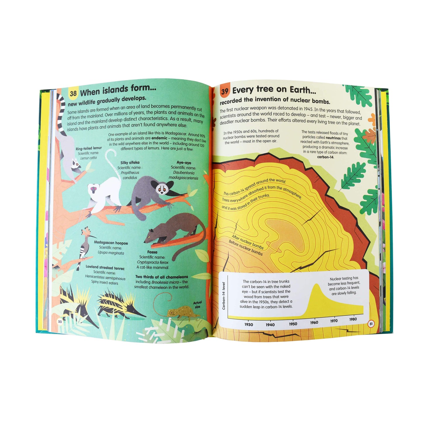 Usborne 100 Things to Know About Planet Earth, Space, Science,Numbers and Human Body 5 Books - Age 5-7 - Hardback by Alex Frith , Jerome Martin & Alice James 5-7 Usborne Publishing