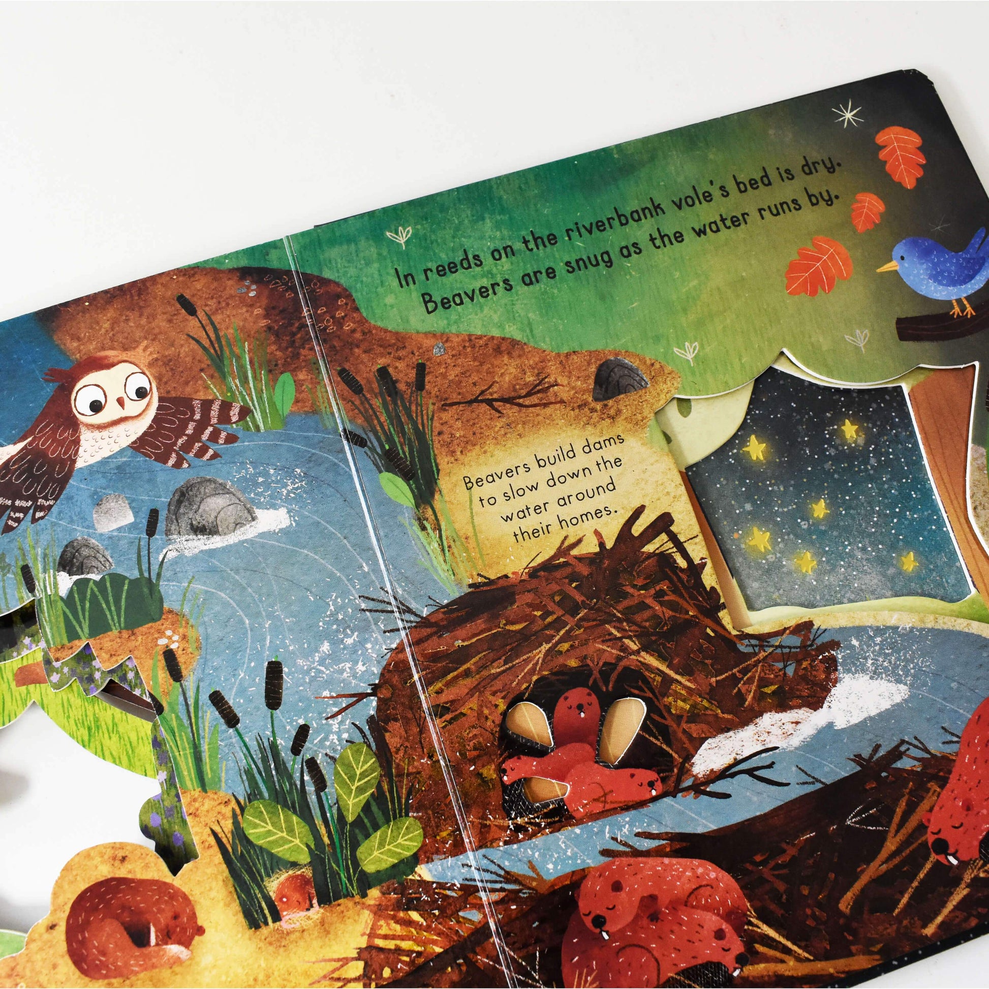 Little Explorers Goodnight World 3 Books Box Carmen Saldana - Ages 0-5 - Boardbooks 0-5 Little Tiger