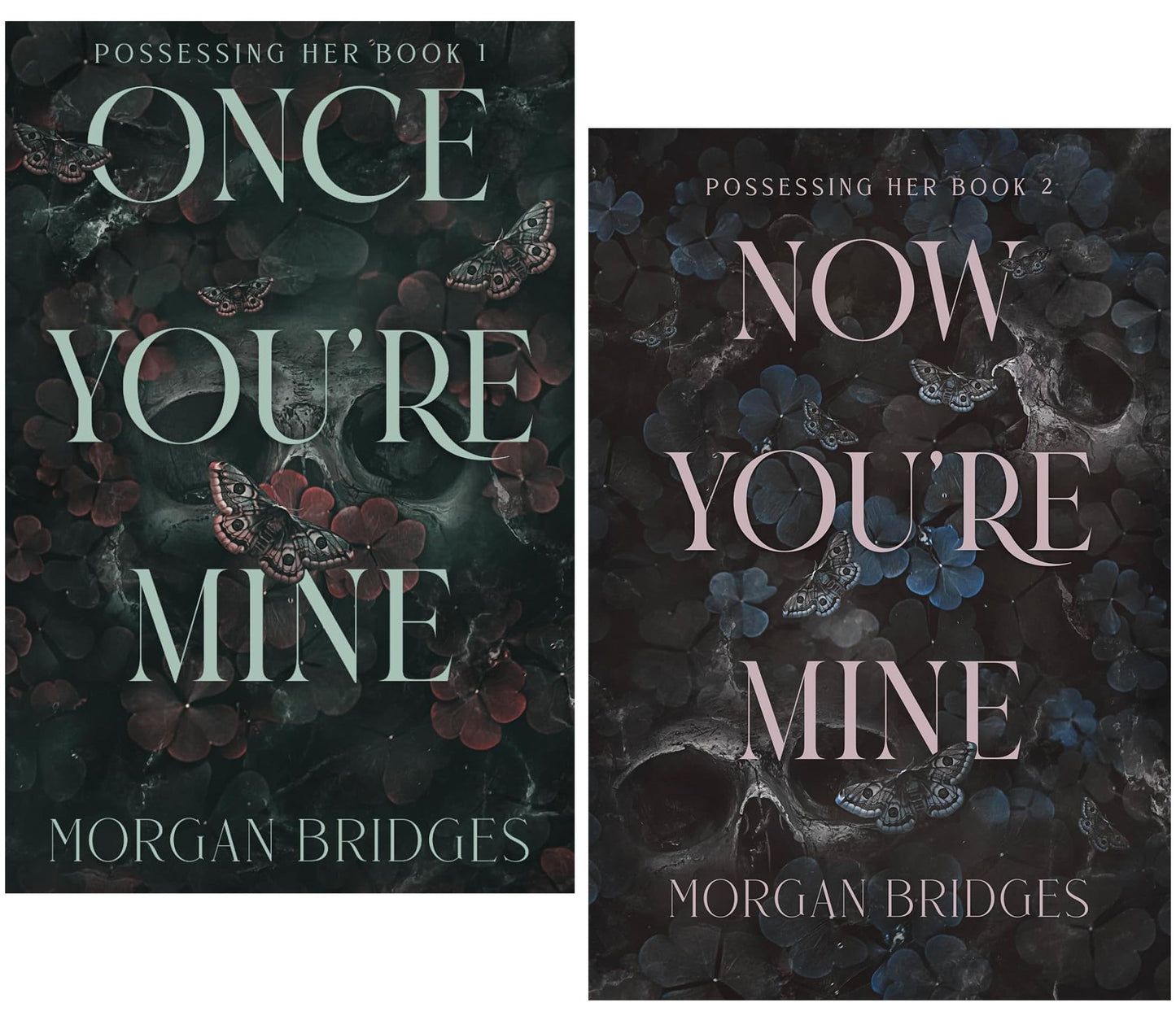 Possessing Her Series by Morgan Bridges 2 Books Collection Set - Fiction - Paperback