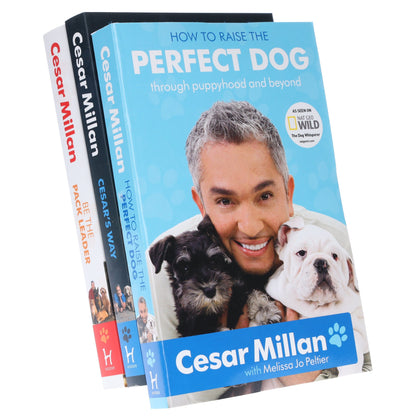 The Dog Whisperer Cesar Millan 3 Books Collection - Non-Fiction - Paperback Non-Fiction Hodder & Stoughton