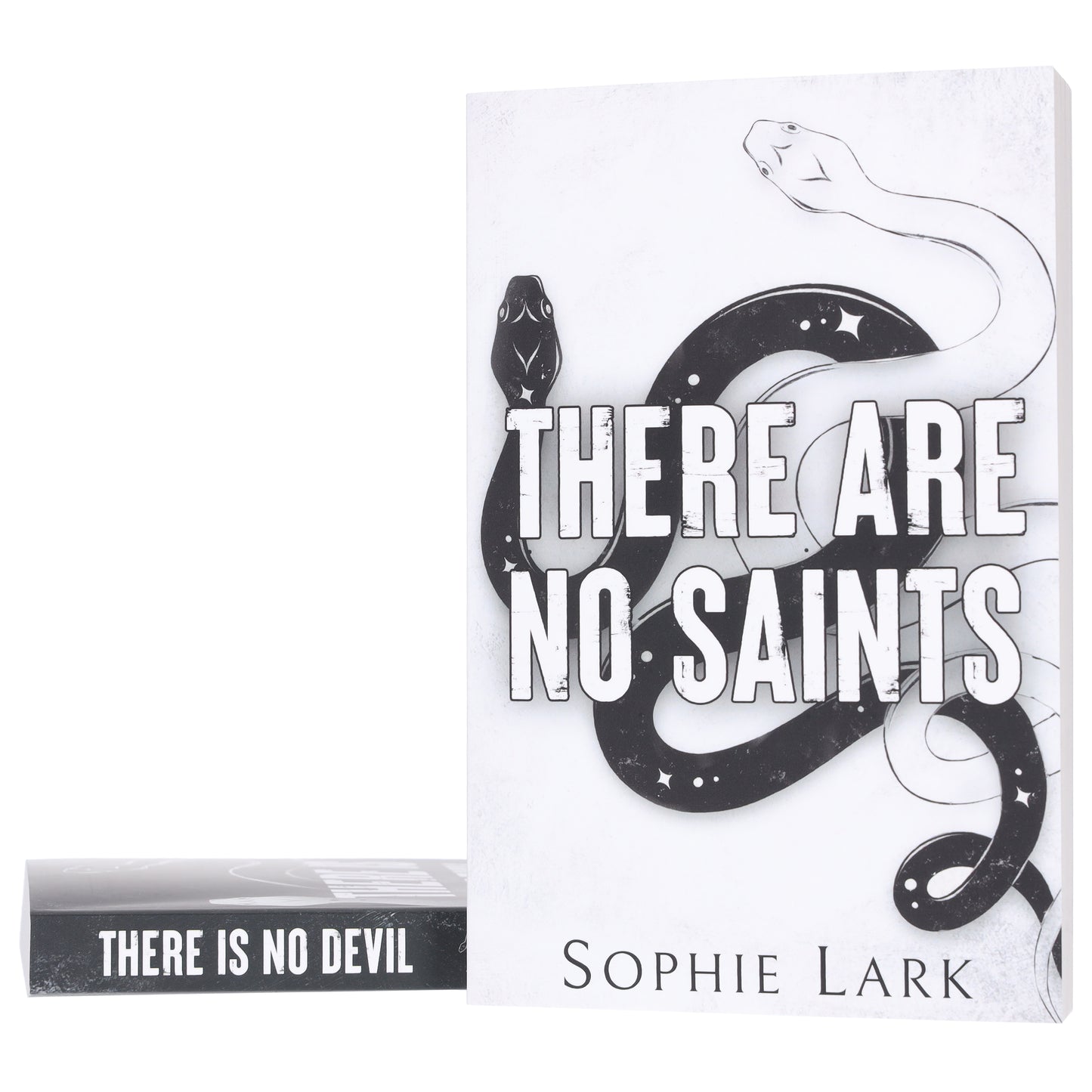 蘇菲拉克 (Sophie Lark) 著《罪人二重唱》系列 2 本書合輯 - 小說 - 平裝本