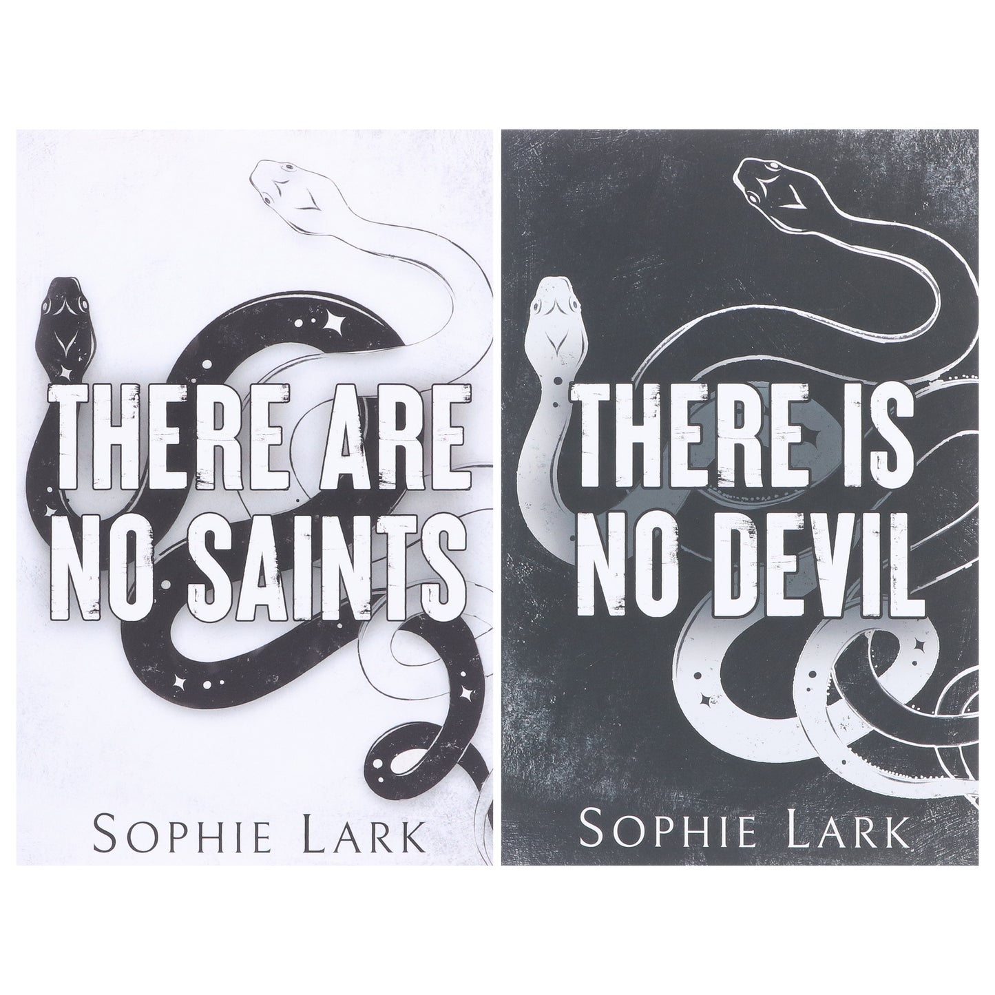 蘇菲拉克 (Sophie Lark) 著《罪人二重唱》系列 2 本書合輯 - 小說 - 平裝本