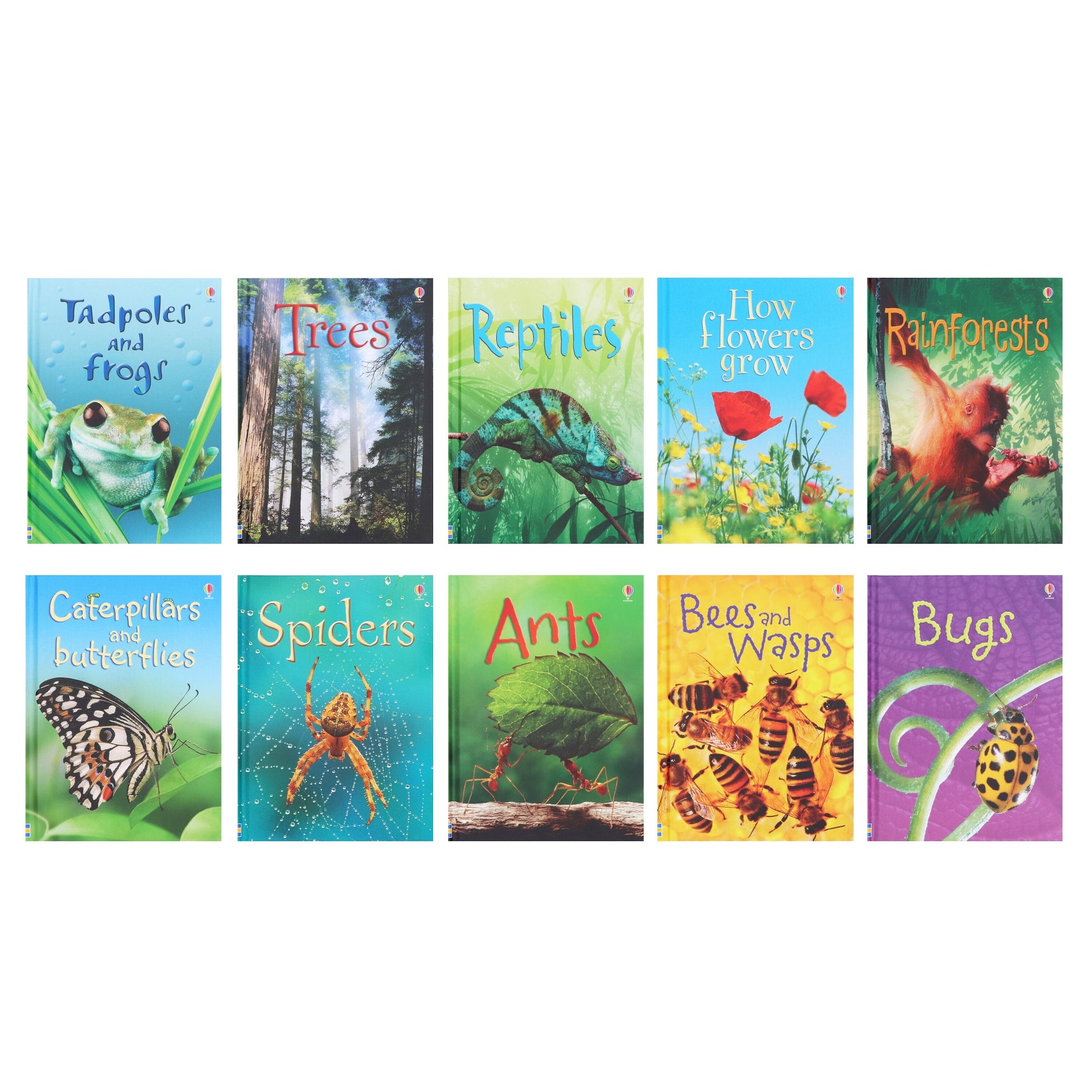 Usborne Beginners Nature 10 Books Box Set Collection - Ages 9-14 - Hardback 9-14 Usborne Publishing Ltd