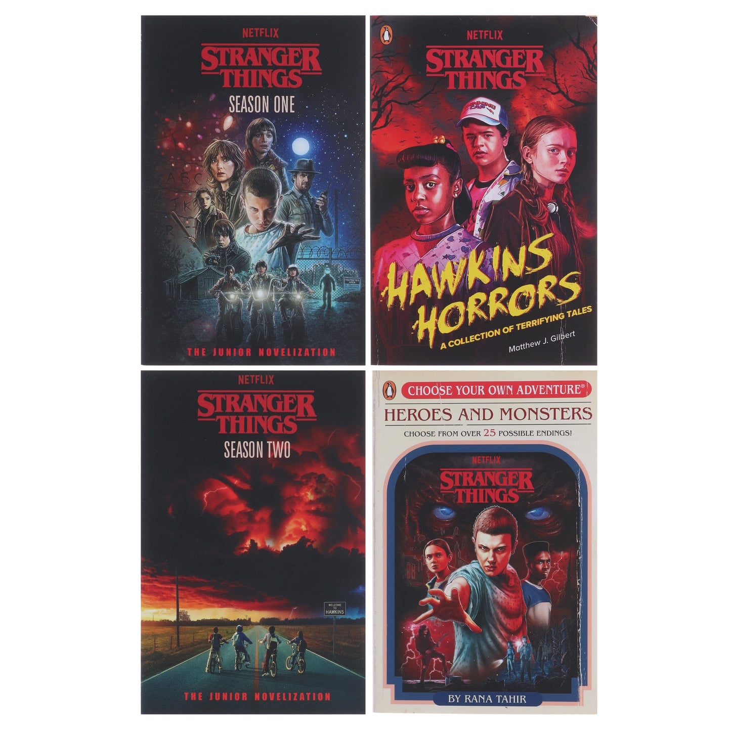 Stranger Things Collection 4 Books Set - Ages 7-14 - Paperback