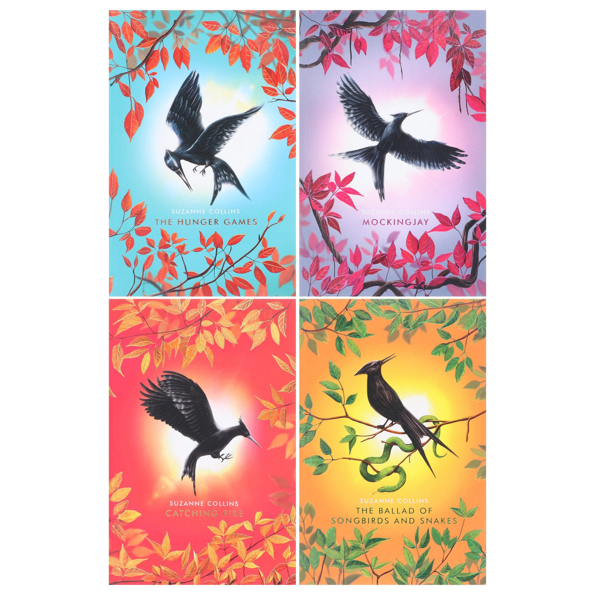 The Deluxe Hunger Games by Suzanne Collins 4 Books Collection Box Set Includes Hunger Games, Catching Fire, Mockingjay & Ballad of Songbirds and Snakes - Ages 13+ - Paperback