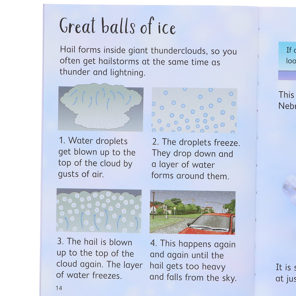 Usborne Beginners Nature, Science & History Collection 30 Books Set - Ages 4-10 - Paperback