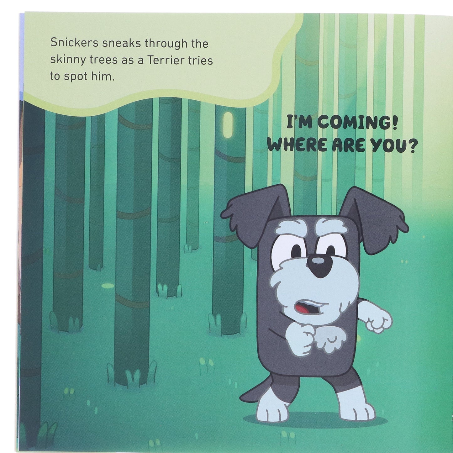 Bluey Gotta Be Done! 10 Picture Books Collection Box Set - Ages 3-7 - Paperback