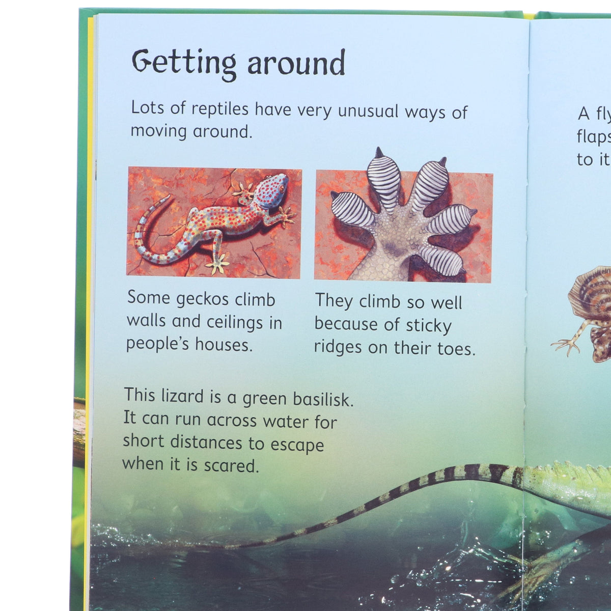 Usborne Beginners Series 30 Books Collection Box Set (Nature, Science & Animals) - Ages 4-10 - Hardback
