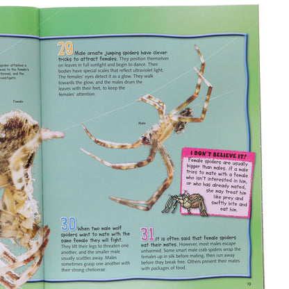 52faa27c-ed9b-4c0f-b582-bd5f3b621382