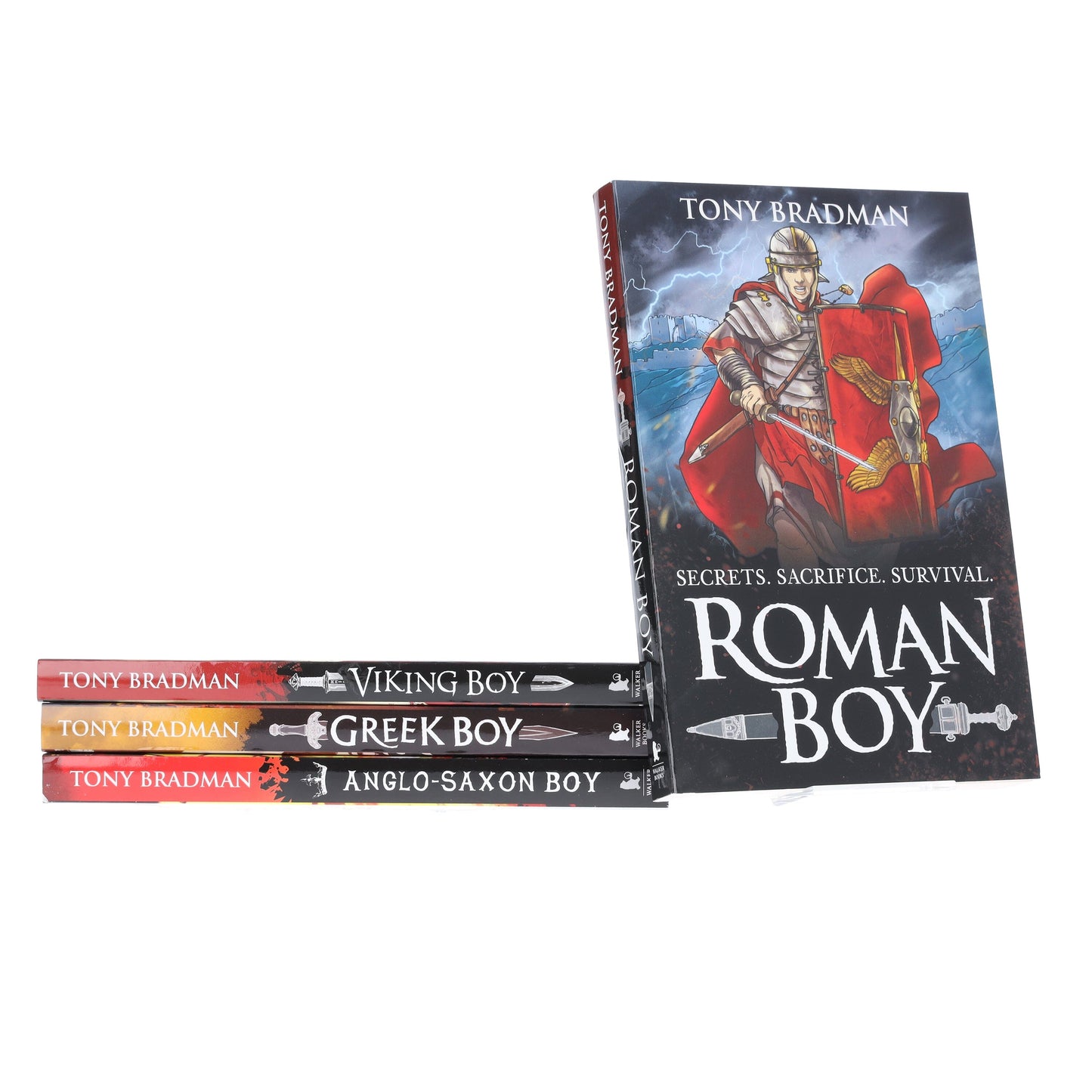 Viking Boy Series by Tony Bradman 4 Books Collection Set - Ages 9-12 - Paperback